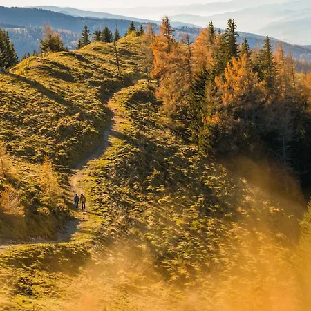 Kirchenwirt In Maria Schutz