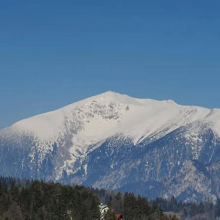 Kirchenwirt In Maria Schutz Schottwien
