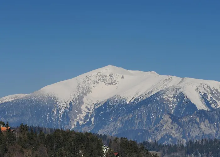 Kirchenwirt In Maria Schutz Schottwien